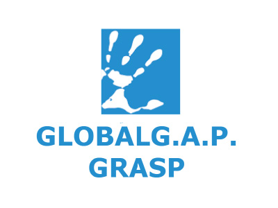 logo8_grasp-1-1